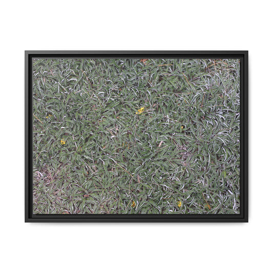 Grassy Texture - Unique Stretched Canvas Wall Art - Art By Earth