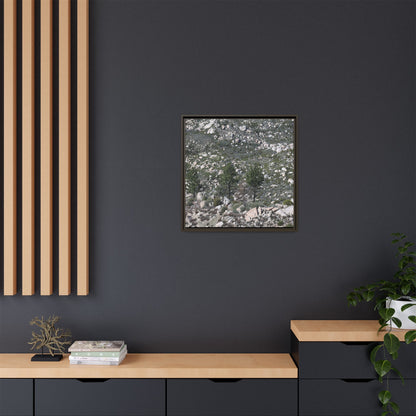 Rocky Hillside with Pine Trees - Unique Stretched Canvas Wall Art - Art By Earth