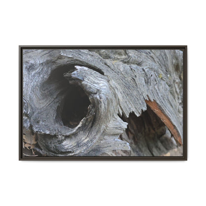 Bark's Labyrinth - Unique Stretched Canvas Wall Art - Art By Earth