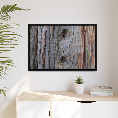 Knotty Nature - Unique Stretched Canvas Wall Art - Art By Earth