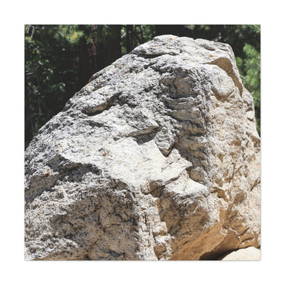 Stone of Solitude - Unique Frameless Canvas Wall Art - Art By Earth