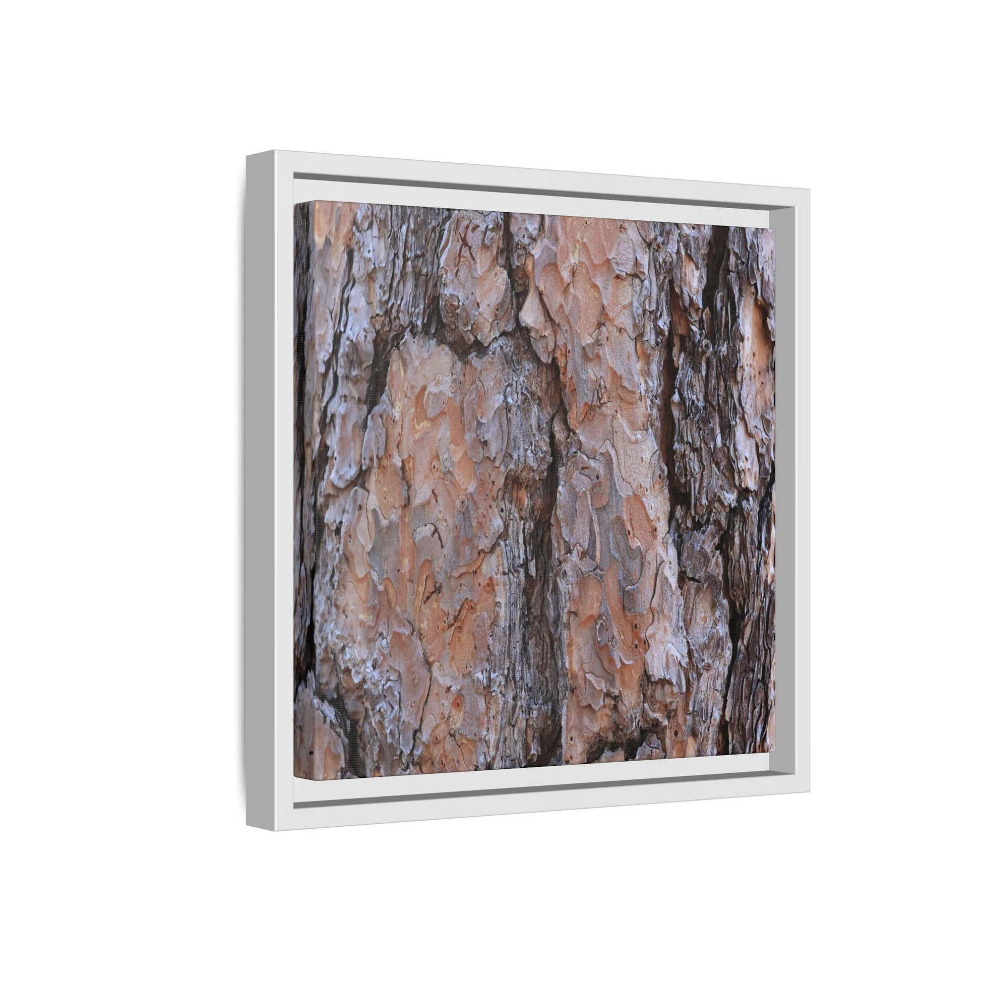 Tree Skin Symphony - Unique Stretched Canvas Wall Art - Art By Earth