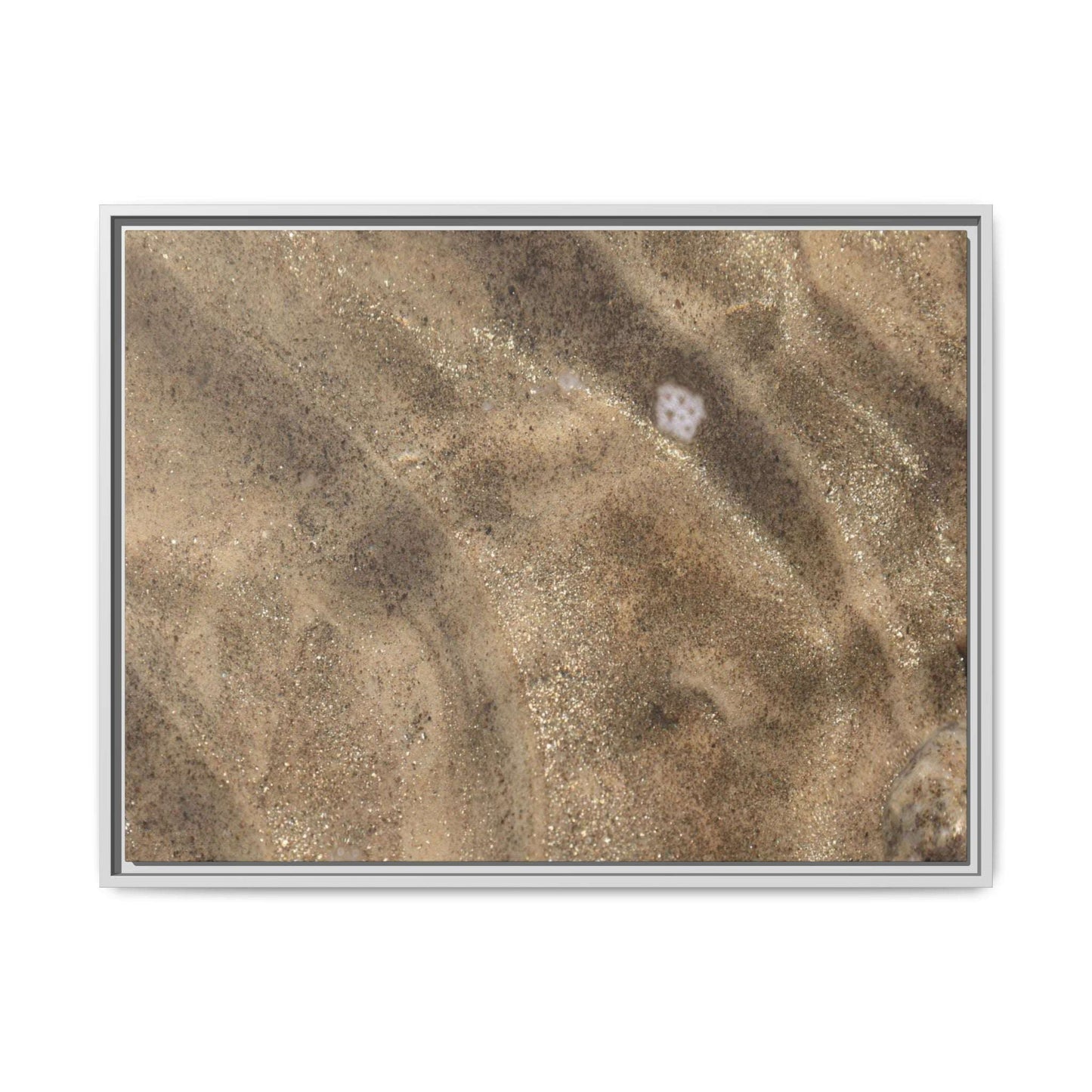 Underwater Sand Exploration - Unique Stretched Canvas Wall Art - Art By Earth