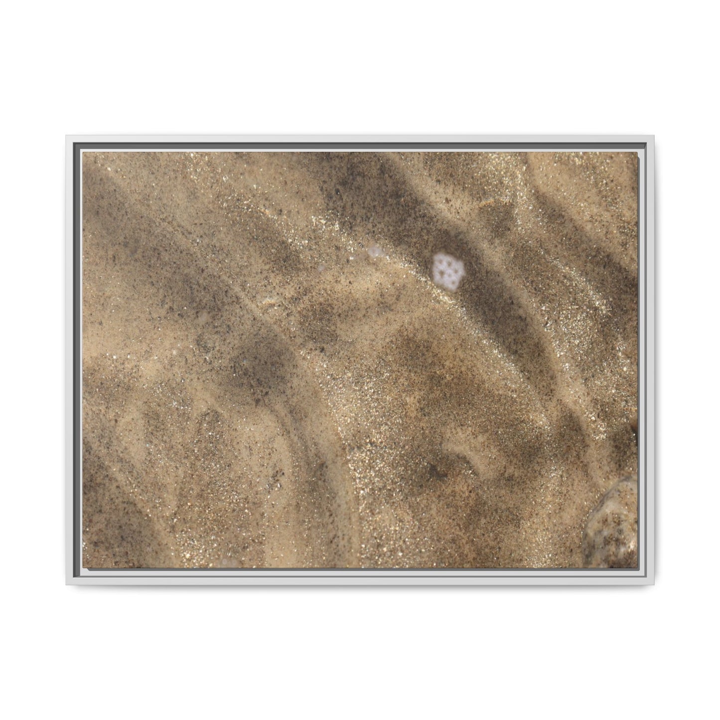 Underwater Sand Exploration - Unique Stretched Canvas Wall Art - Art By Earth