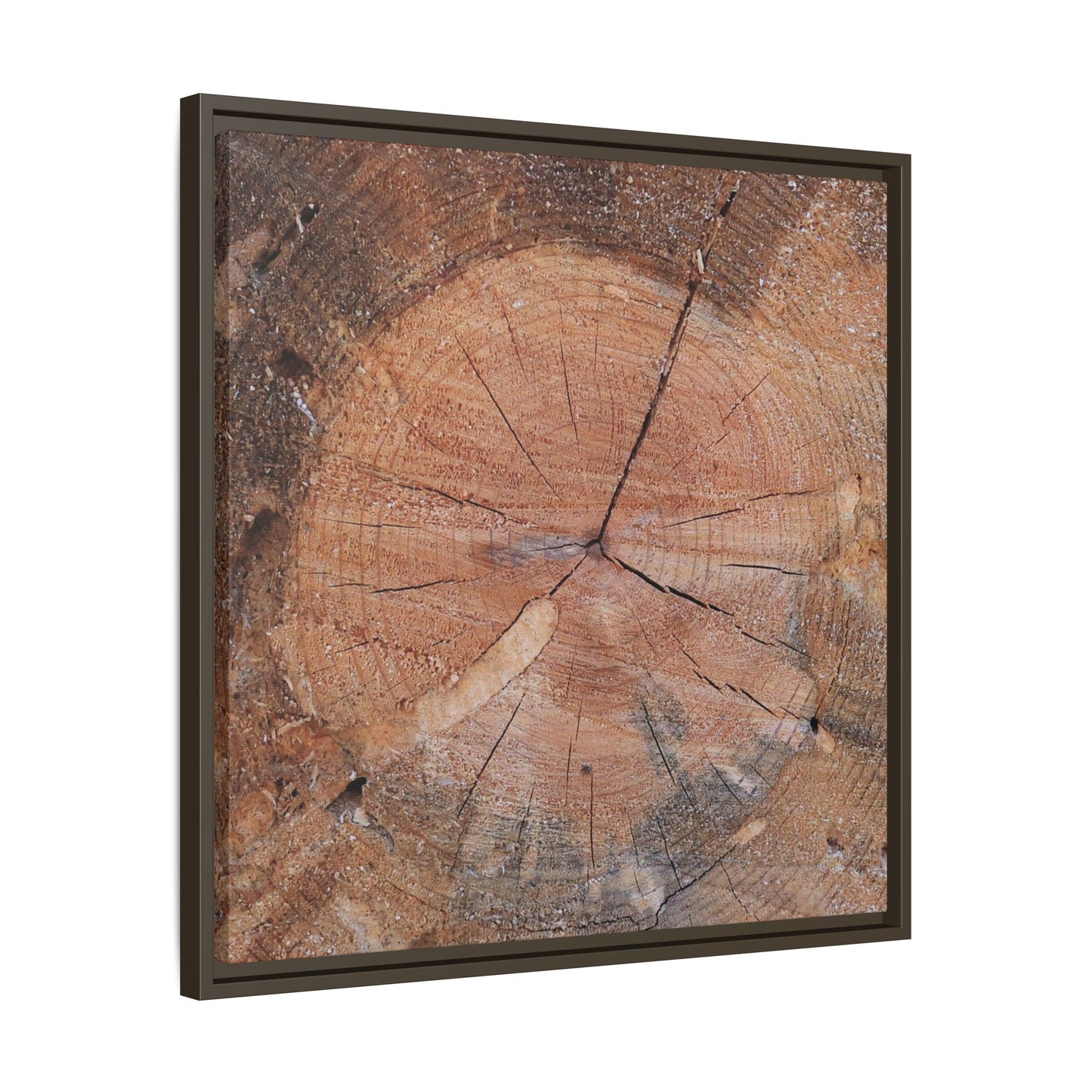 Concentric Memories - Unique Stretched Canvas Wall Art - Art By Earth