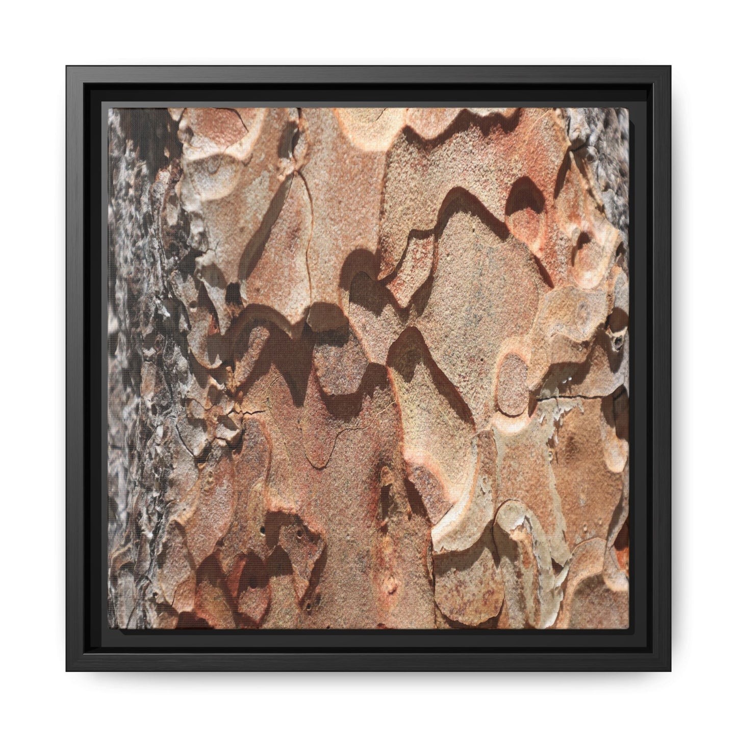 Rust and Stone - Unique Stretched Canvas Wall Art - Art By Earth
