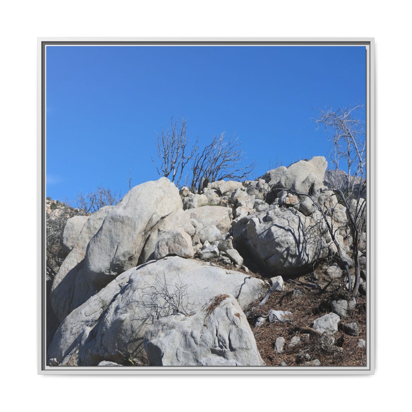 Barren Landscape with Boulder Formations - Unique Stretched Canvas Wall Art - Art By Earth