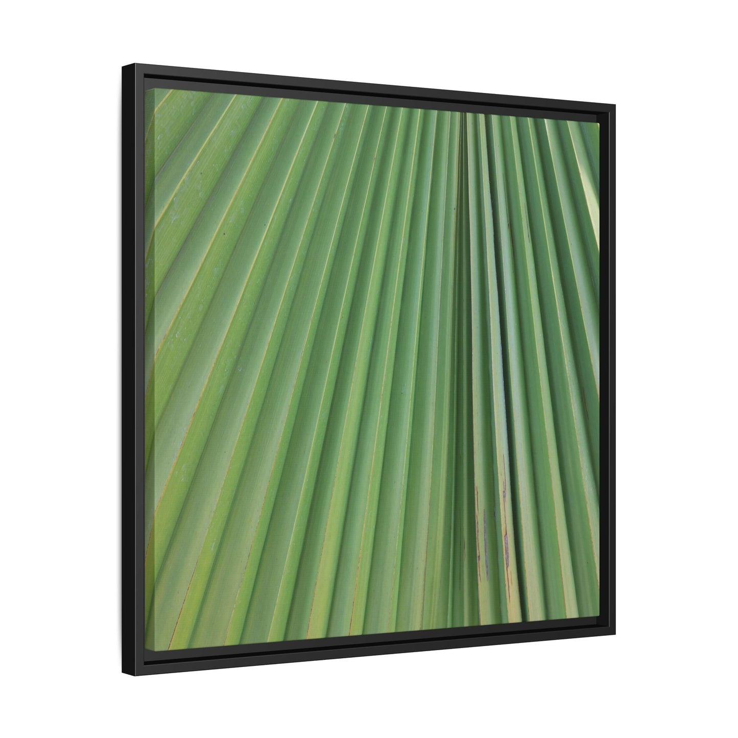 Emerald Rays - Unique Stretched Canvas Wall Art - Art By Earth