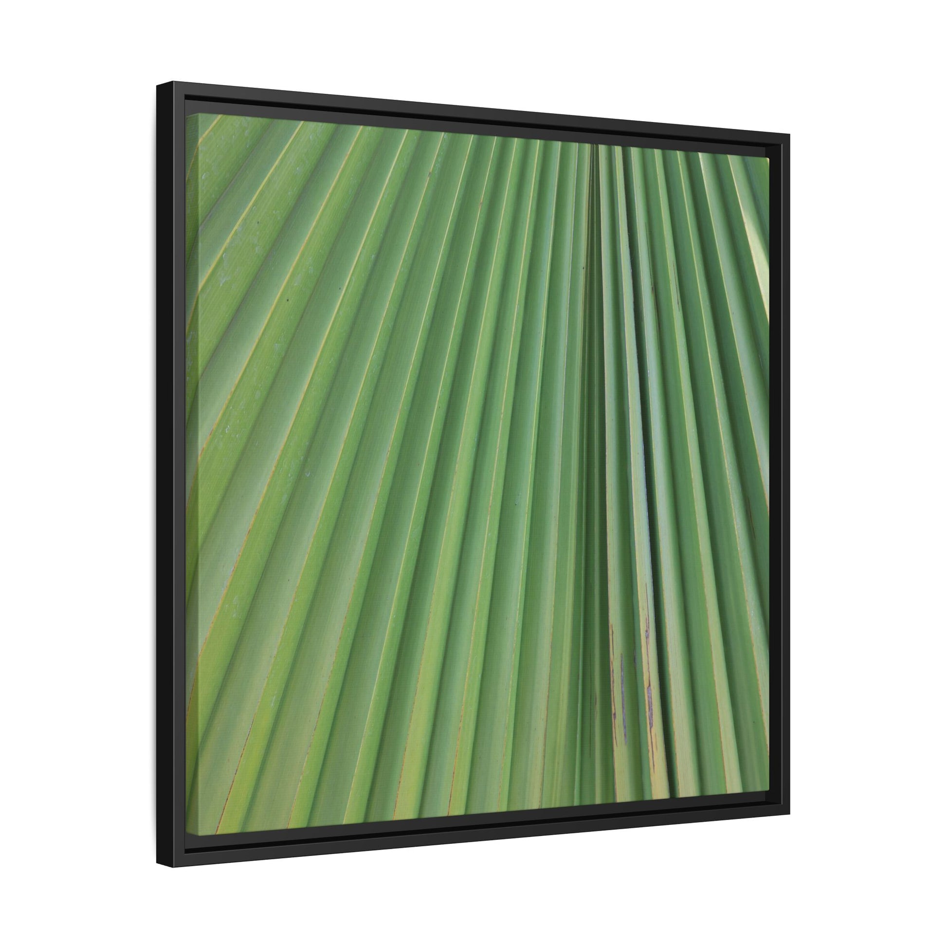 Emerald Rays - Unique Stretched Canvas Wall Art - Art By Earth