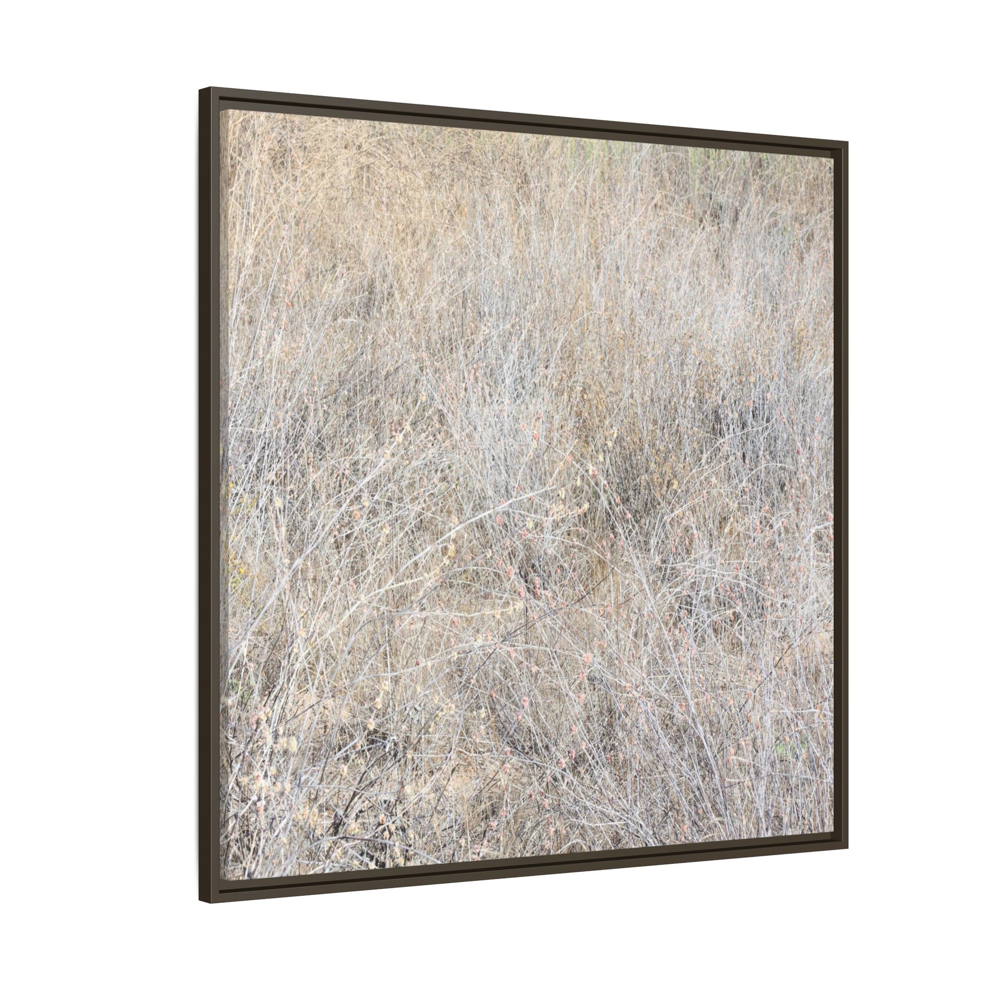 Whispers of Dry Grass - Unique Stretched Canvas Wall Art - Art By Earth