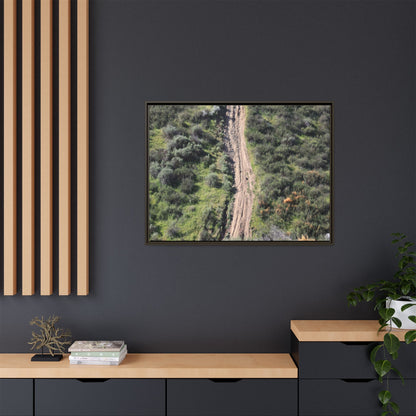 Desert Path Through Sage - Unique Stretched Canvas Wall Art - Art By Earth