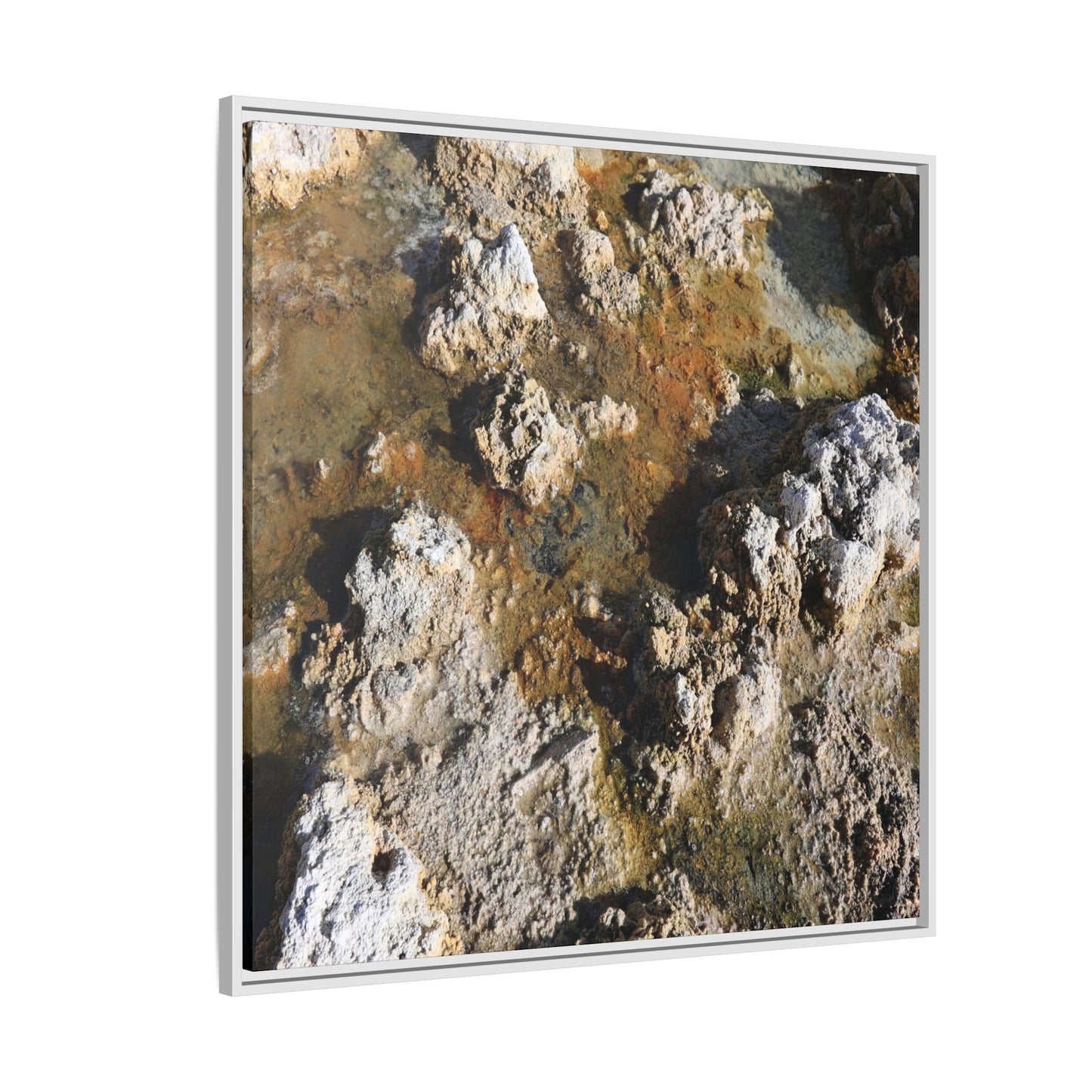 Textural Metamorphosis - Unique Stretched Canvas Wall Art