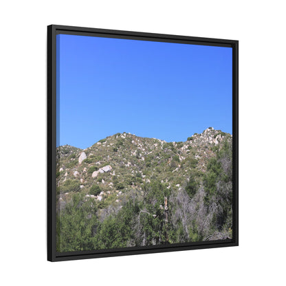 Sparse Vegetation - Unique Stretched Canvas Wall Art