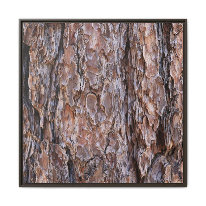 Woody Layers - Unique Stretched Canvas Wall Art - Art By Earth
