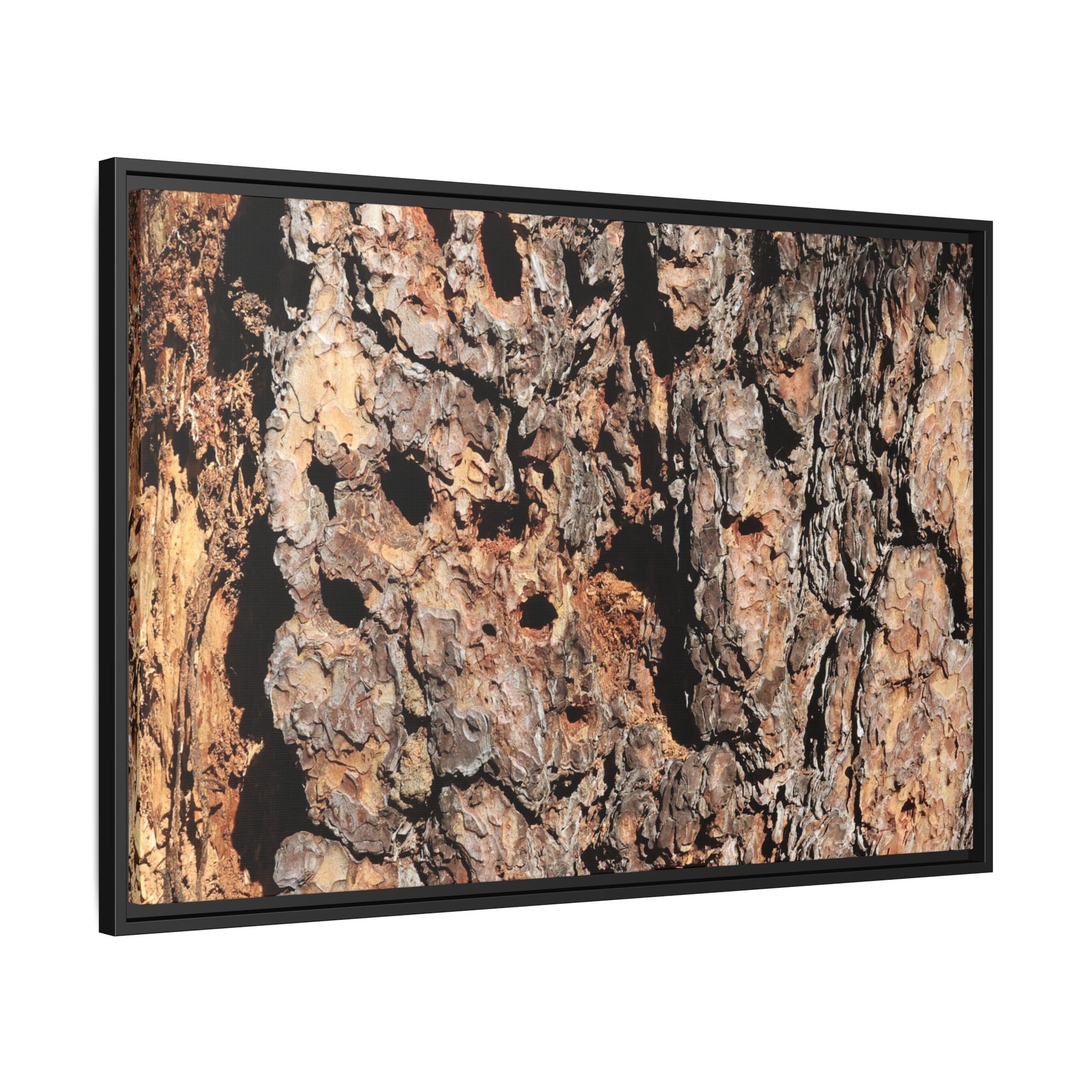 Rugged Rhythms - Unique Stretched Canvas Wall Art - Art By Earth