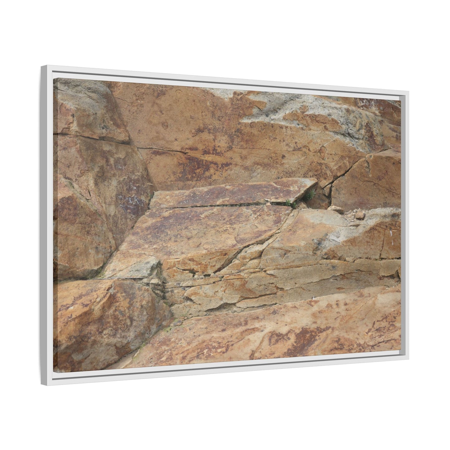 Ancient Foundations - Unique Stretched Canvas Wall Art - Art By Earth