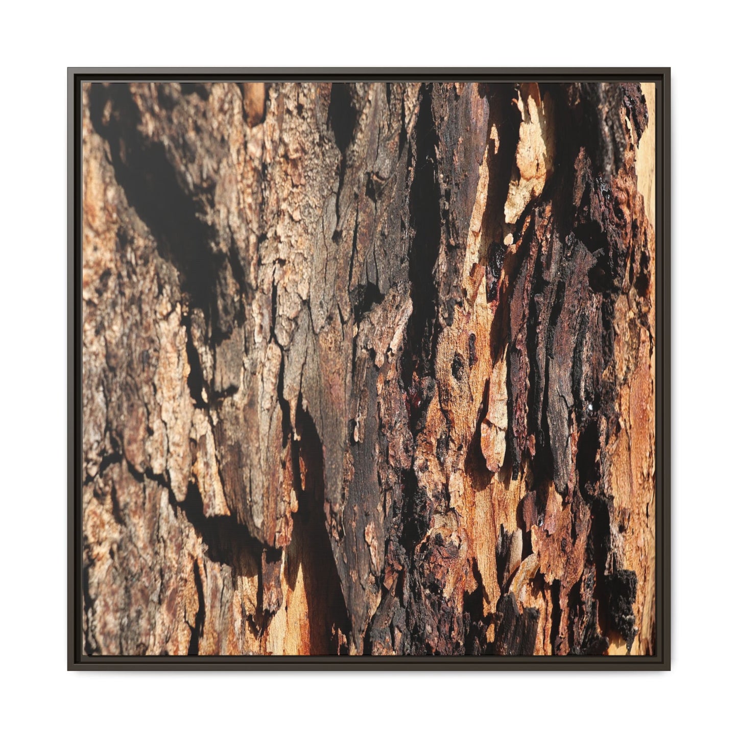 Rugged Beauty - Unique Stretched Canvas Wall Art - Art By Earth