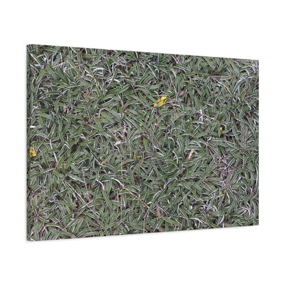 Tangled Memories - Unique Frameless Canvas Wall Art - Art By Earth