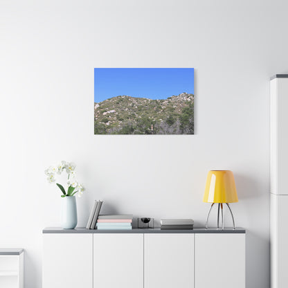Rocky Hills with Desert Vegetation - Unique Frameless Canvas Wall Art