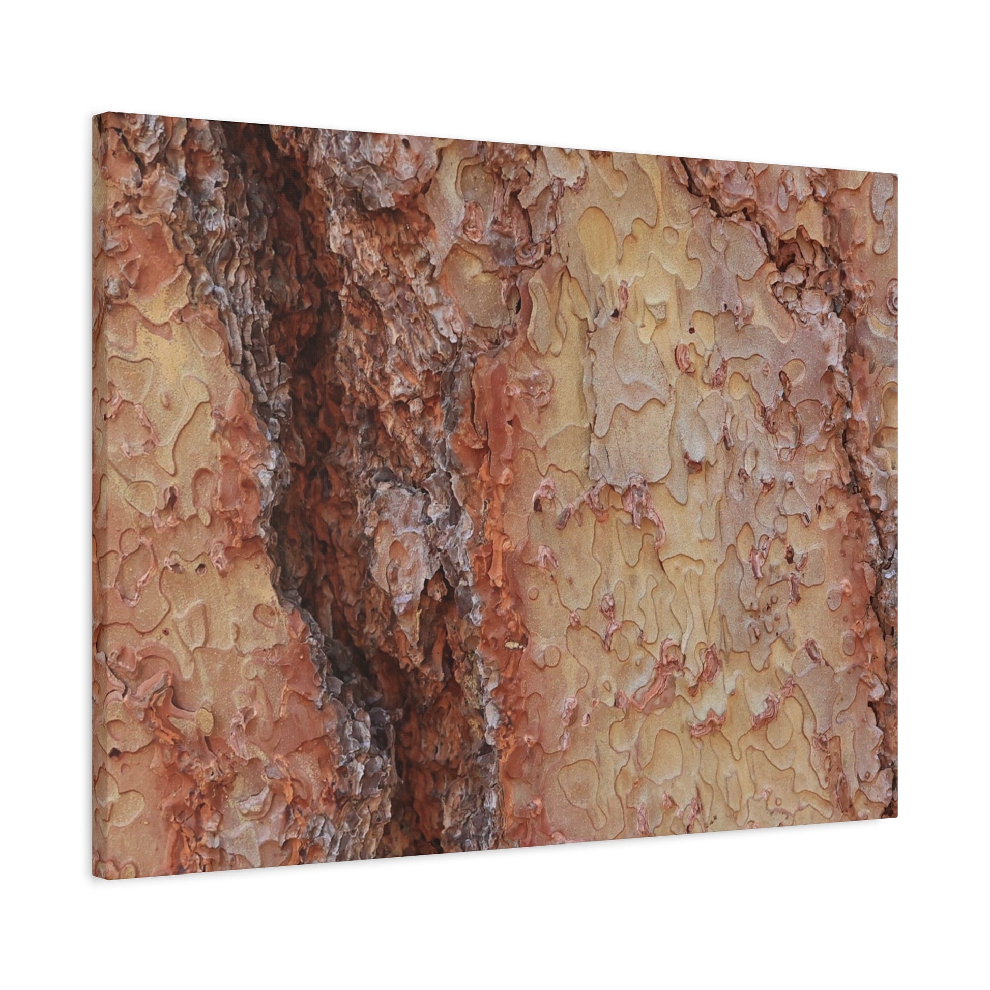 Arboreal Secrets - Unique Frameless Canvas Wall Art - Art By Earth