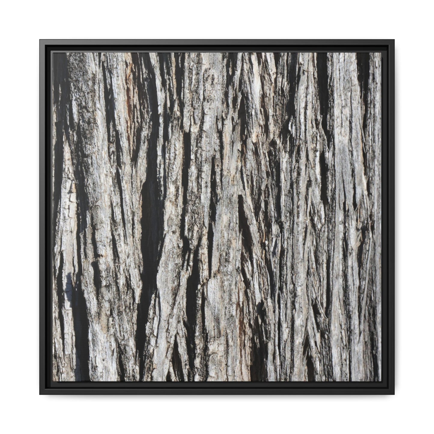 Nature's Abstract - Unique Stretched Canvas Wall Art - Art By Earth