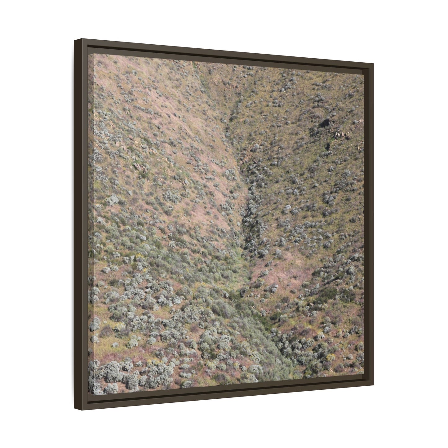Mountain Slope with Desert Vegetation - Unique Stretched Canvas Wall Art - Art By Earth