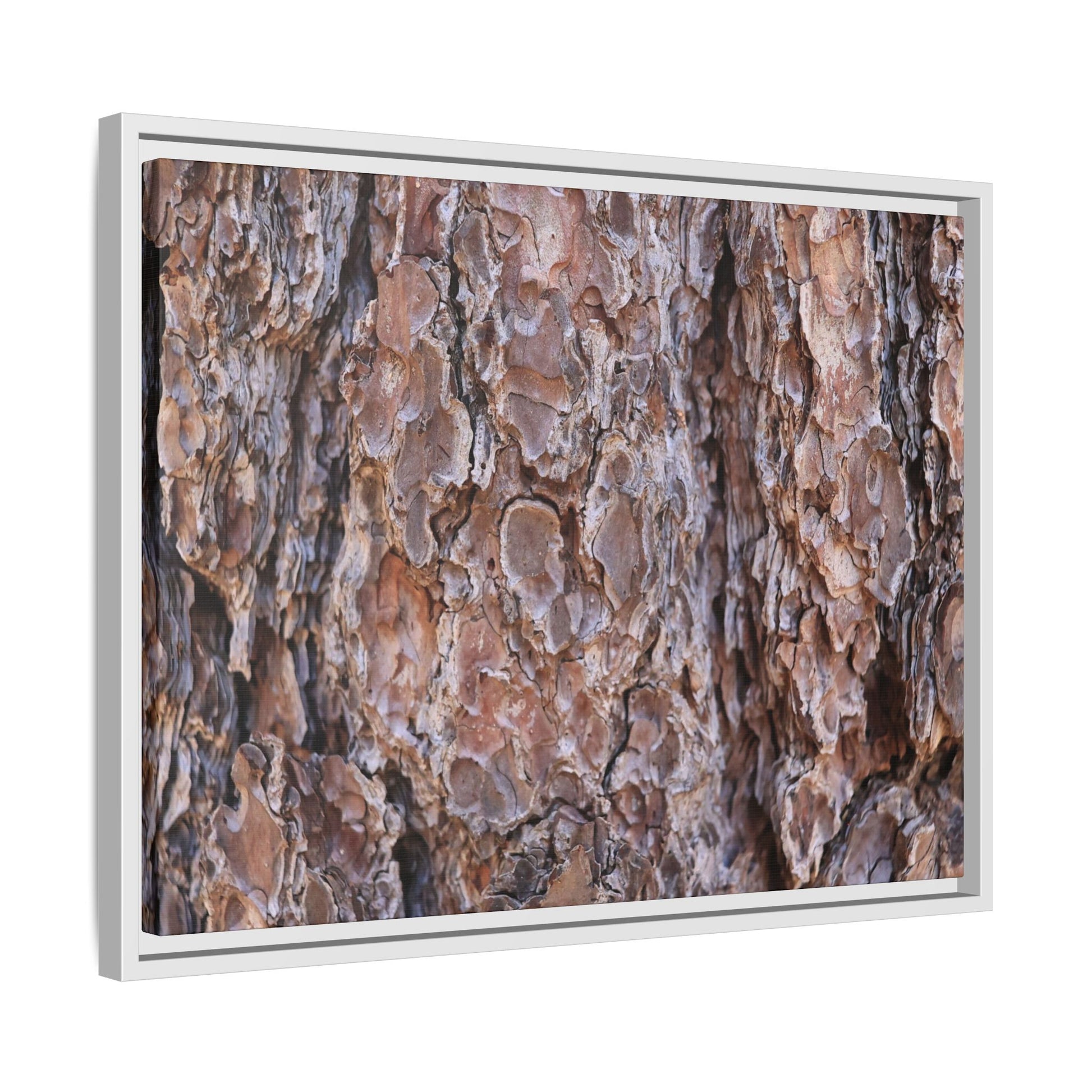 Woody Layers - Unique Stretched Canvas Wall Art - Art By Earth
