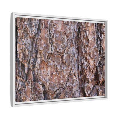 Woody Layers - Unique Stretched Canvas Wall Art - Art By Earth