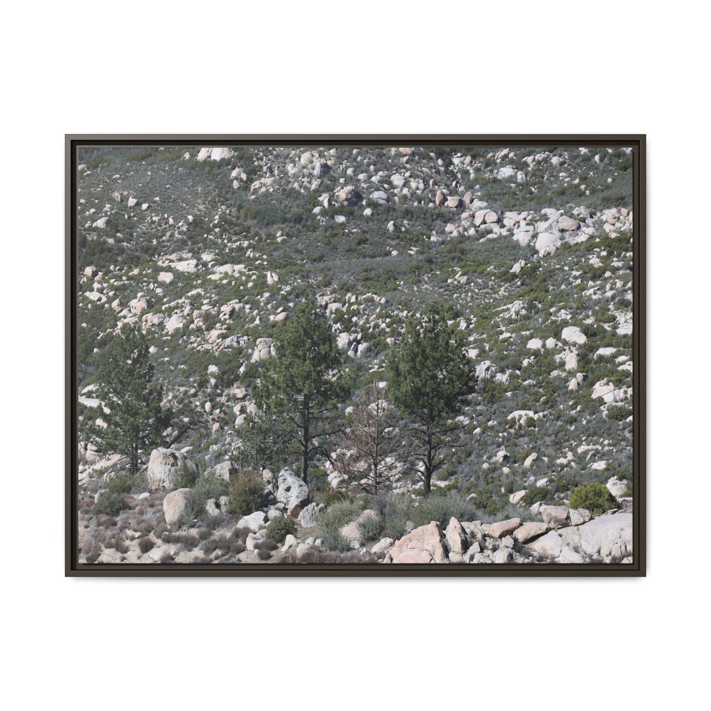 Rocky Hillside with Pine Trees - Unique Stretched Canvas Wall Art - Art By Earth