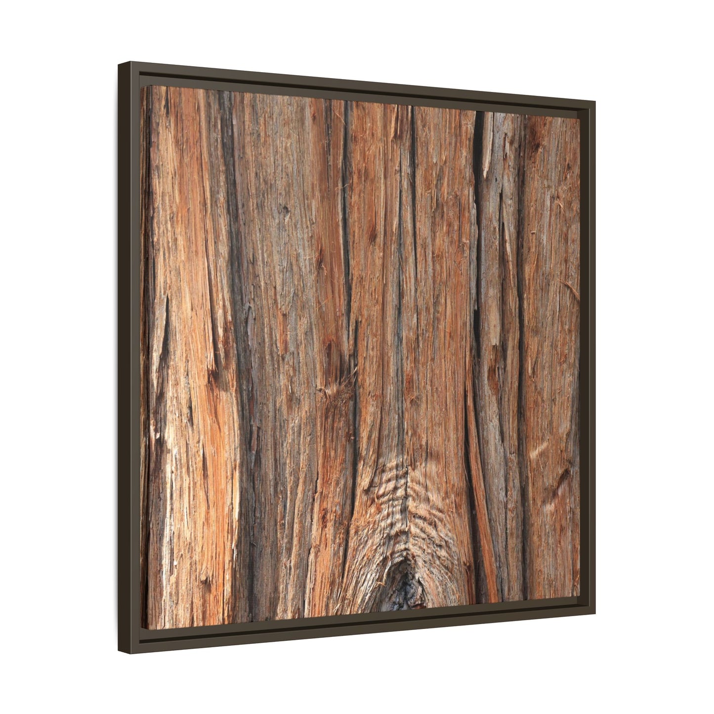 Echoes of Timber - Unique Stretched Canvas Wall Art - Art By Earth