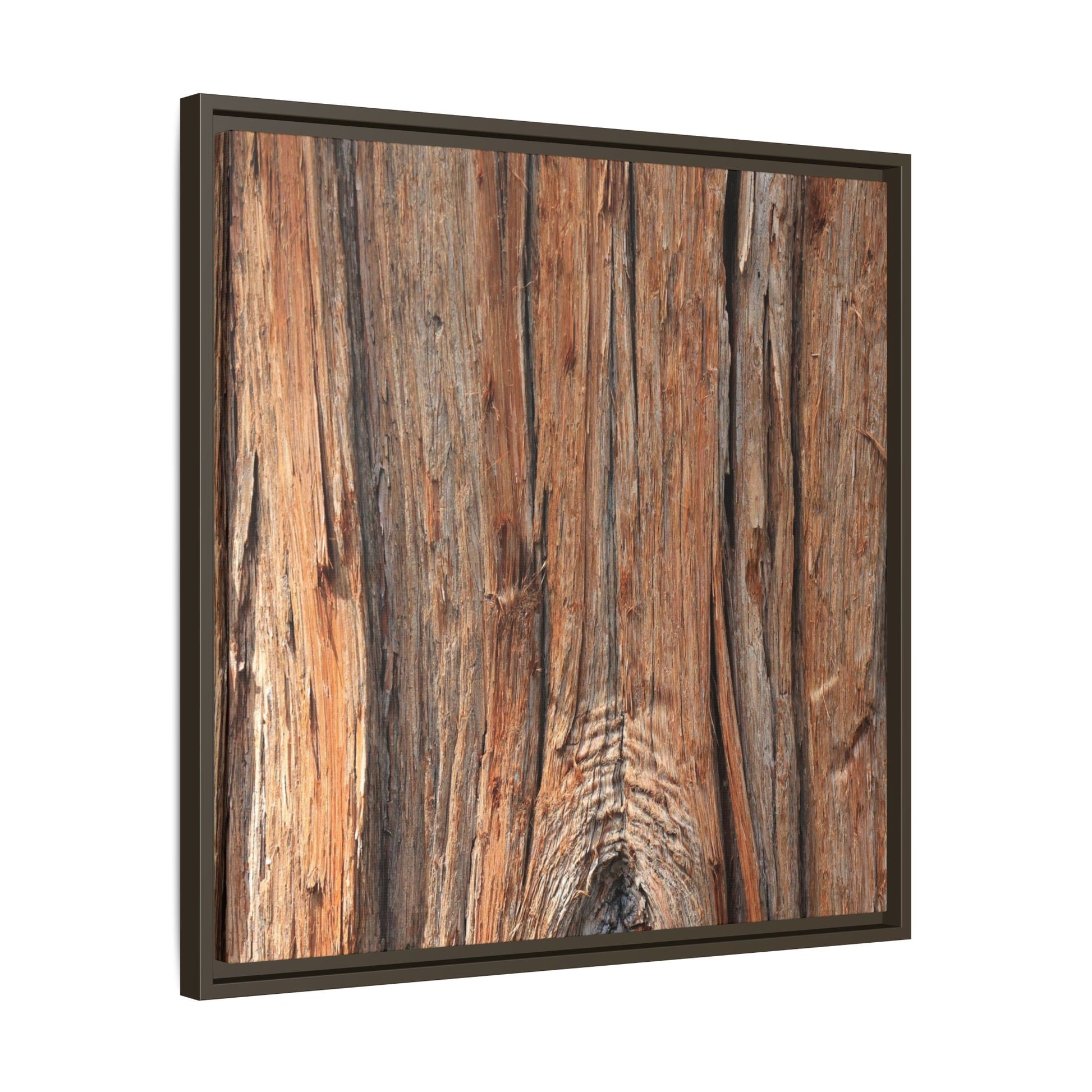 Echoes of Timber - Unique Stretched Canvas Wall Art - Art By Earth