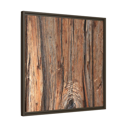 Echoes of Timber - Unique Stretched Canvas Wall Art - Art By Earth