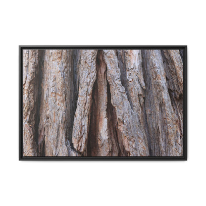 Nature's Sculpture - Unique Stretched Canvas Wall Art - Art By Earth