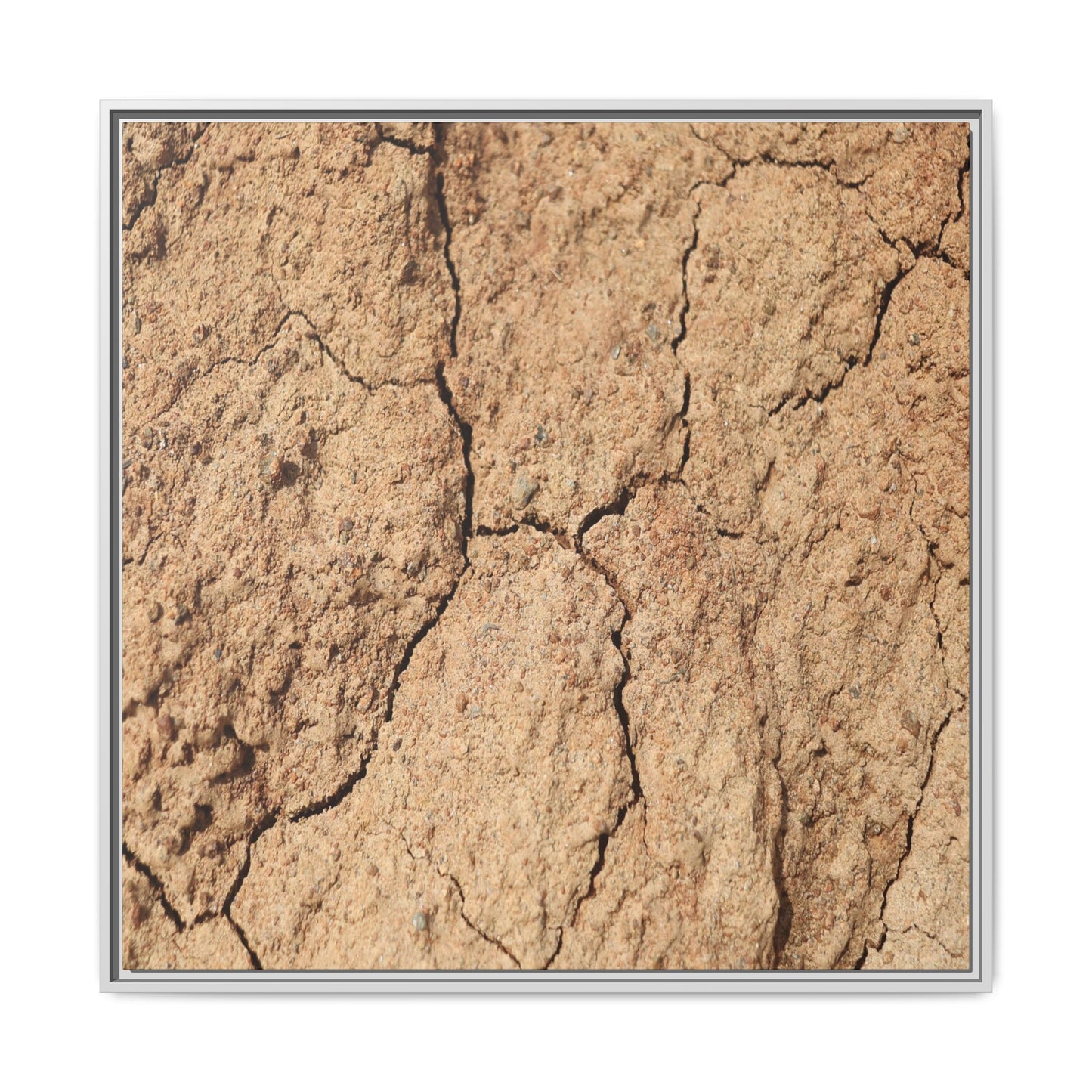 Parched Land - Unique Stretched Canvas Wall Art - Art By Earth