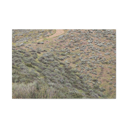 Desert Path Through Sagebrush - Unique Frameless Canvas Wall Art - Art By Earth
