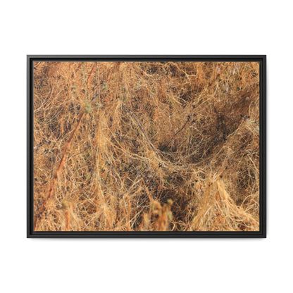 Dried Vegetation Study - Unique Stretched Canvas Wall Art - Art By Earth