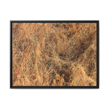 Dried Vegetation Study - Unique Stretched Canvas Wall Art - Art By Earth