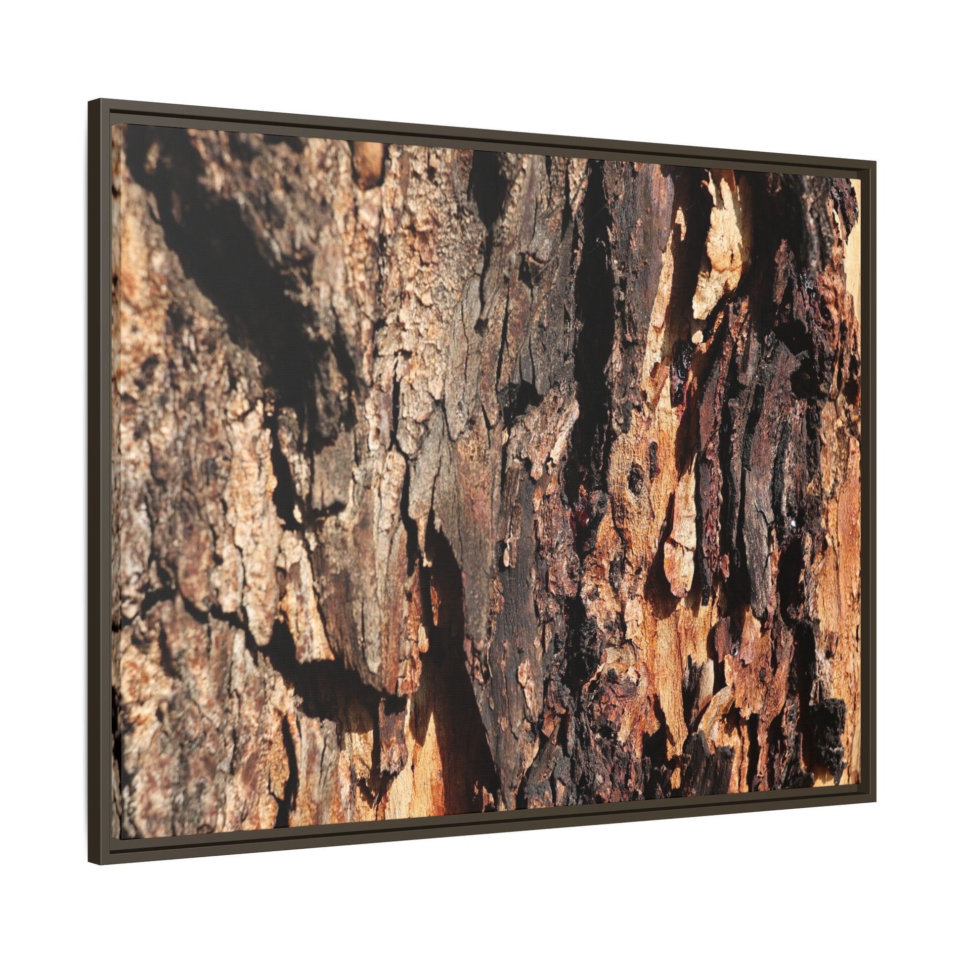 Rugged Beauty - Unique Stretched Canvas Wall Art - Art By Earth