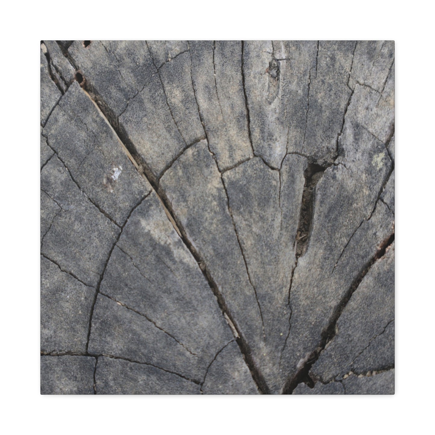 Geological Mosaic - Unique Frameless Canvas Wall Art - Art By Earth