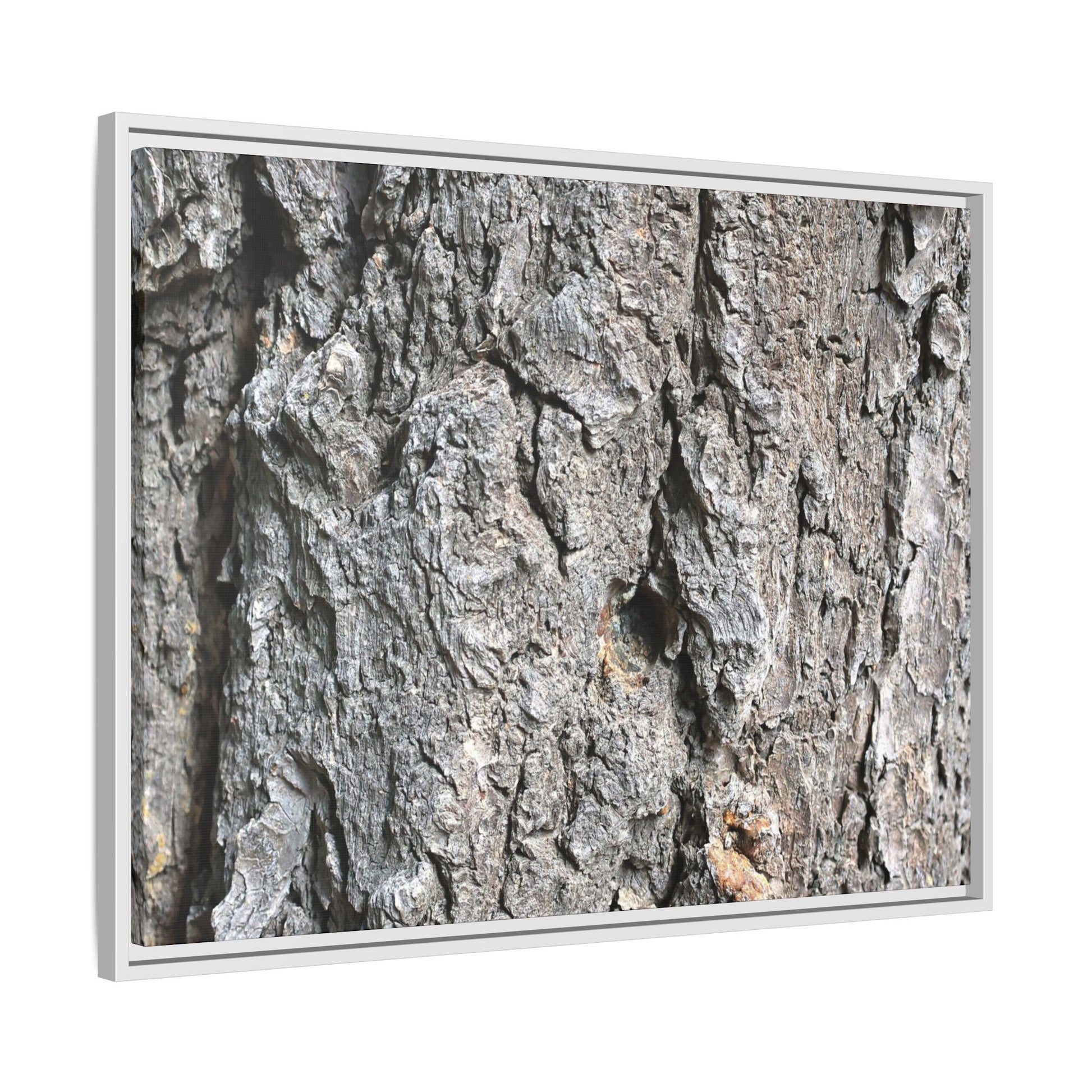 Crusty Exterior - Unique Stretched Canvas Wall Art - Art By Earth