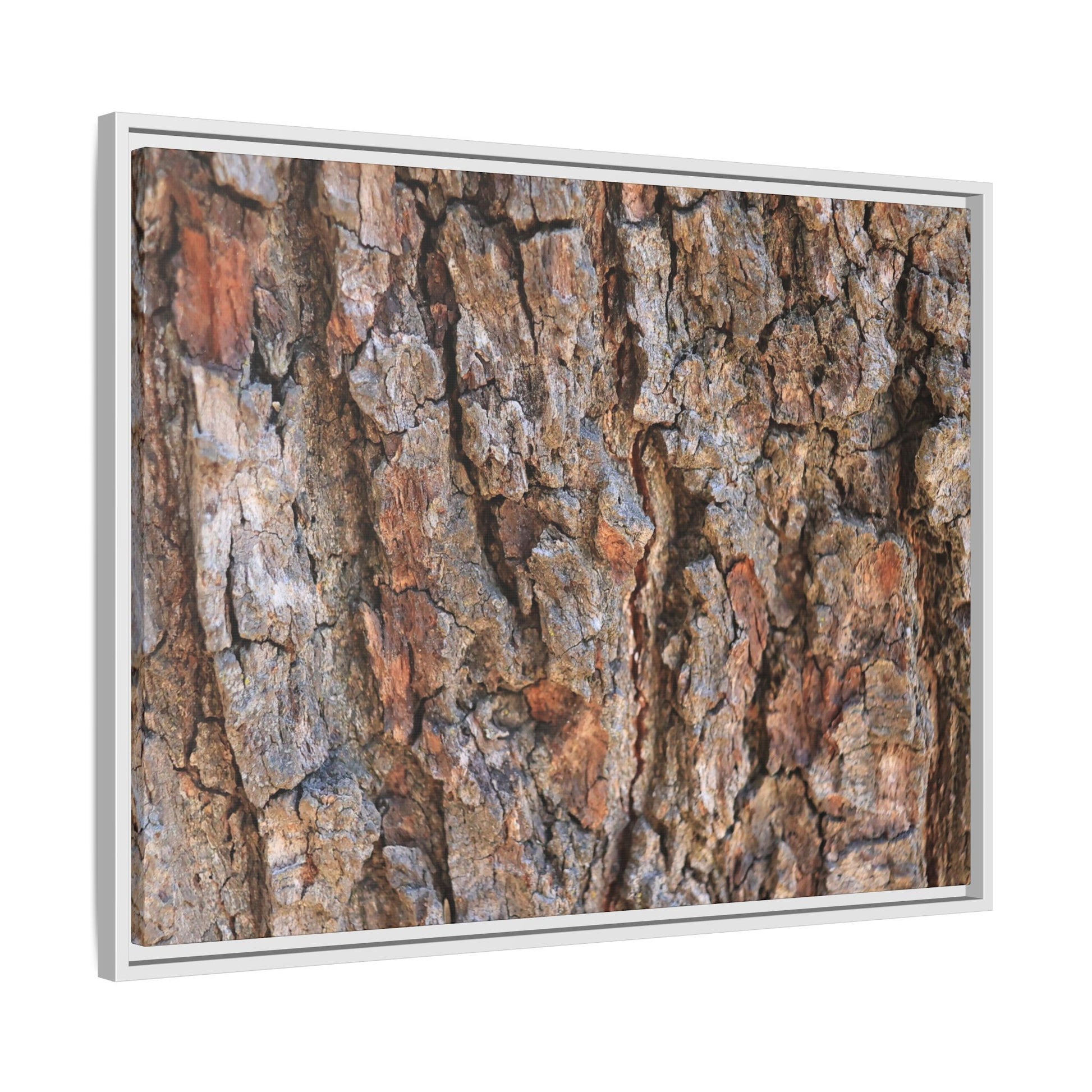 Tree's Timeworn Tale - Unique Stretched Canvas Wall Art - Art By Earth