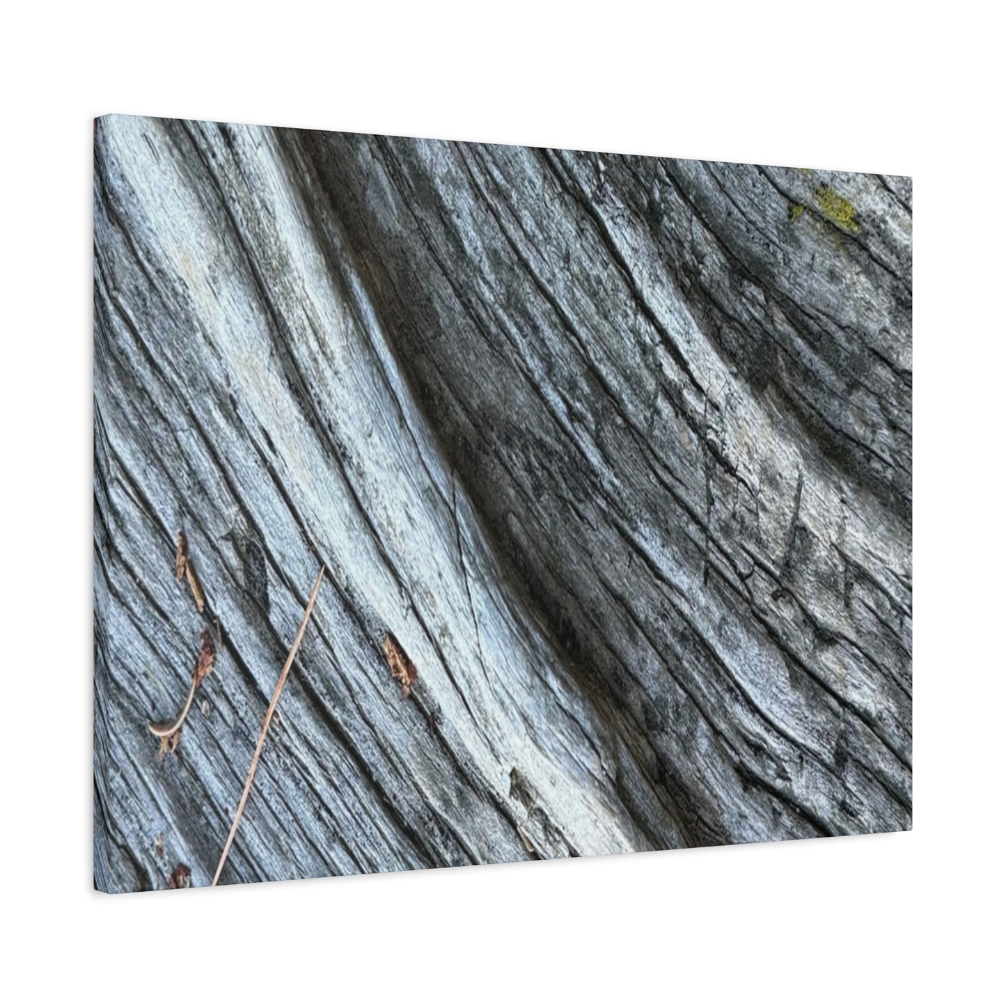 Weathered Wood Grain - Unique Frameless Canvas Wall Art - Art By Earth