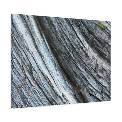 Weathered Wood Grain - Unique Frameless Canvas Wall Art - Art By Earth