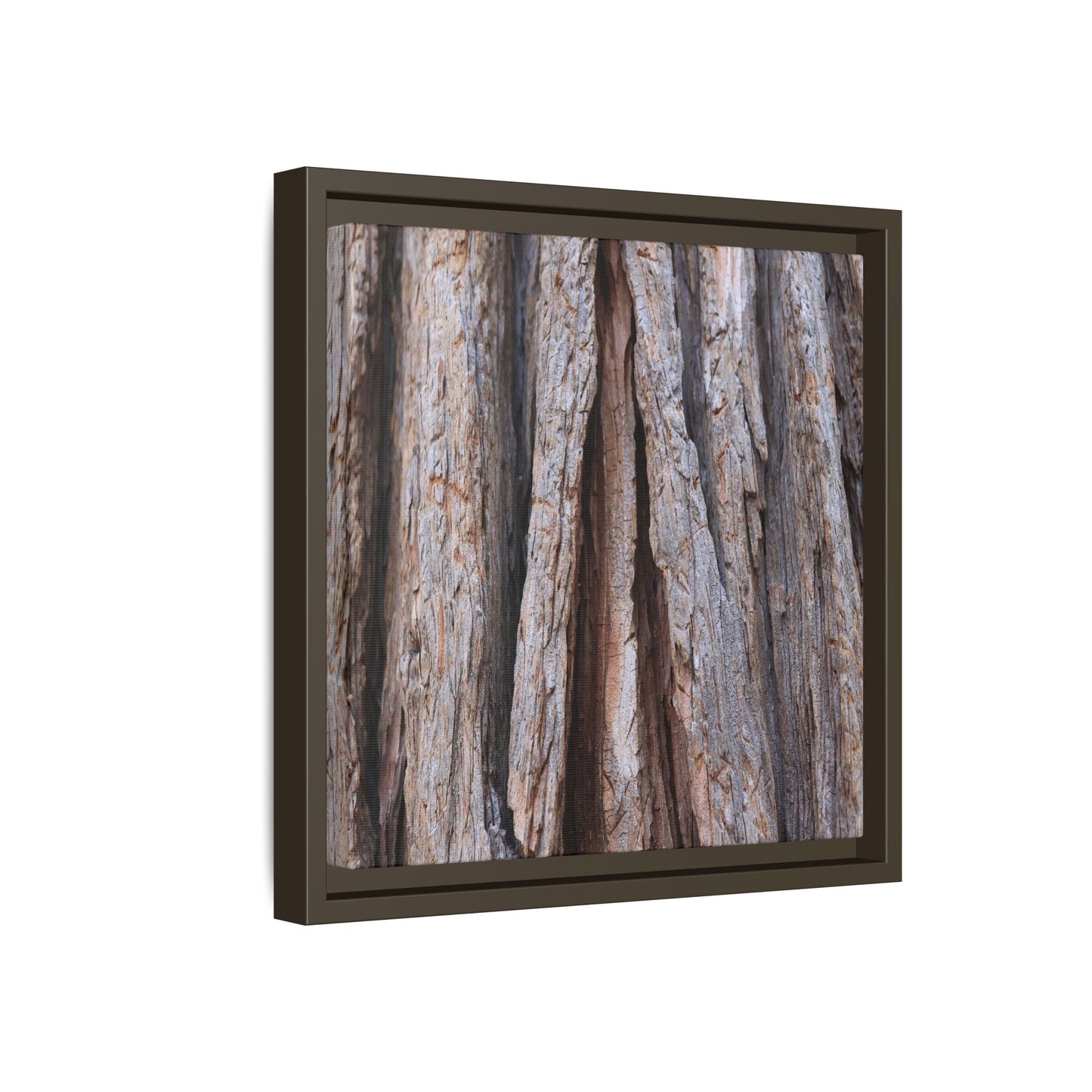 Nature's Sculpture - Unique Stretched Canvas Wall Art - Art By Earth