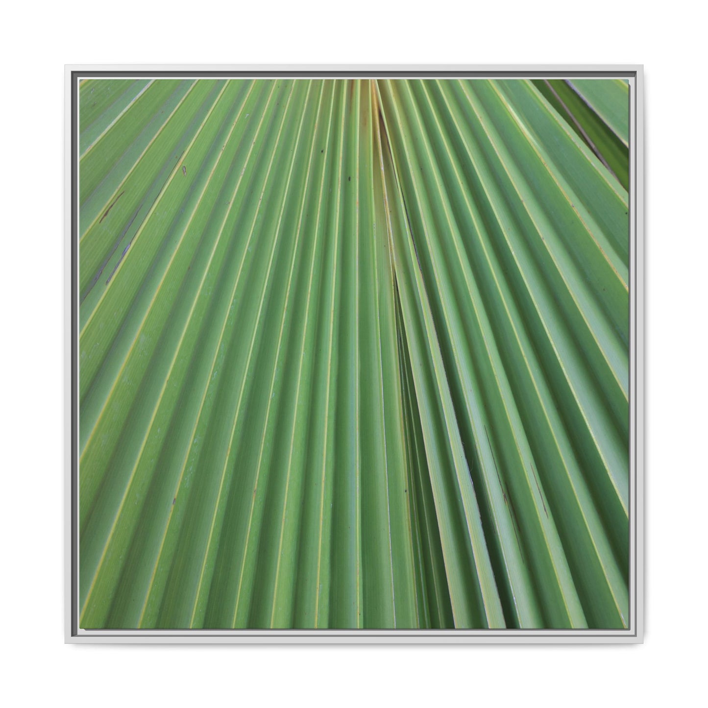 Verdant Veins - Unique Stretched Canvas Wall Art - Art By Earth