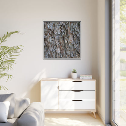 Woodland Skin - Unique Stretched Canvas Wall Art - Art By Earth