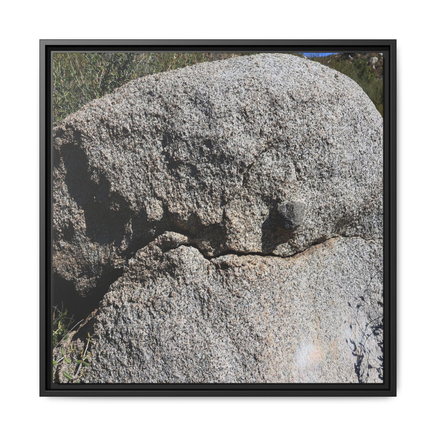 Stone Skull in Desert - Unique Stretched Canvas Wall Art