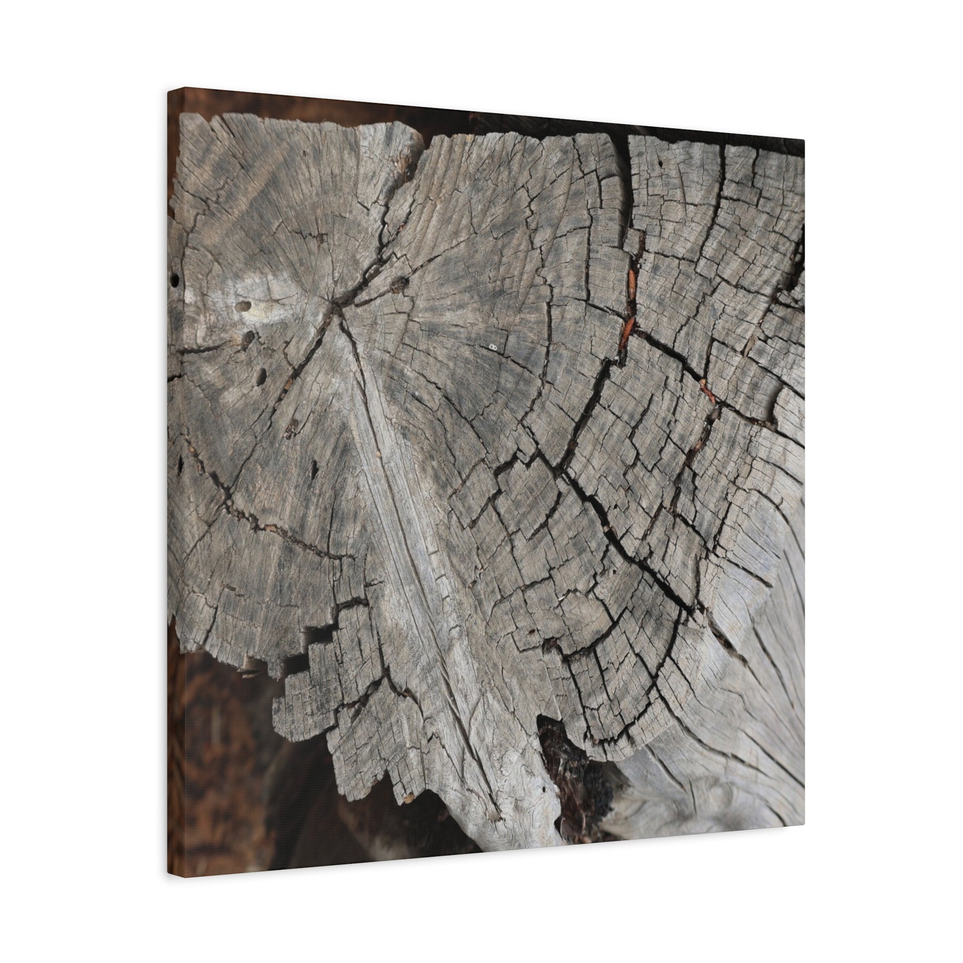 Cracked Memories - Unique Frameless Canvas Wall Art - Art By Earth