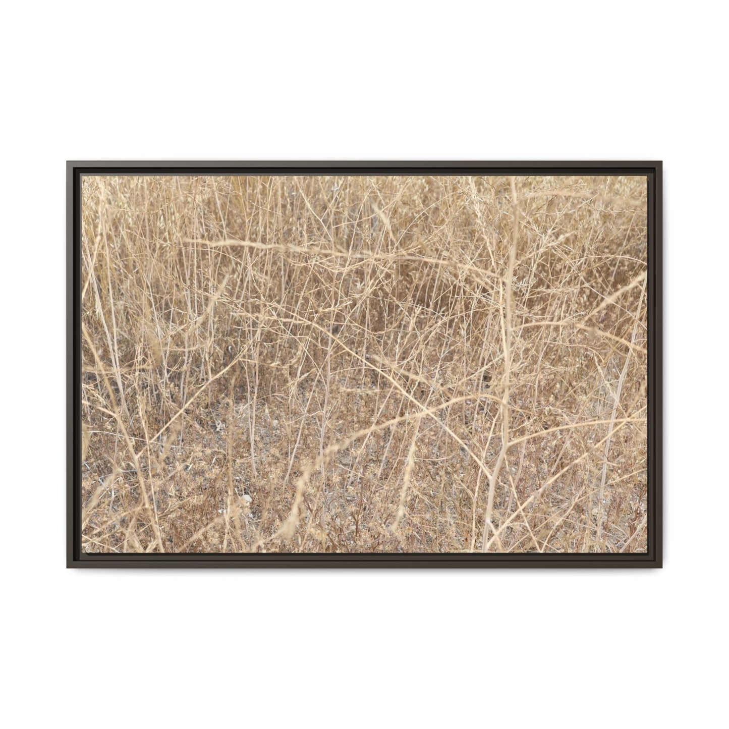 Golden Stalks - Unique Stretched Canvas Wall Art - Art By Earth