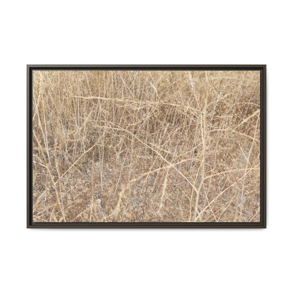 Golden Stalks - Unique Stretched Canvas Wall Art - Art By Earth